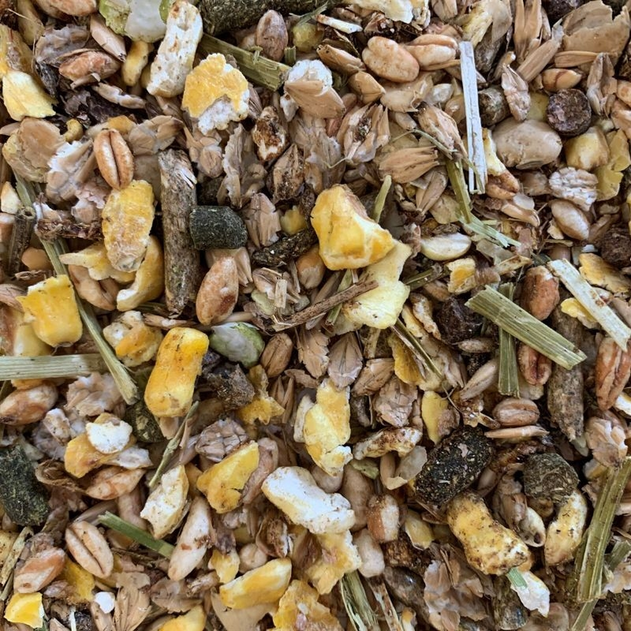 Muesli