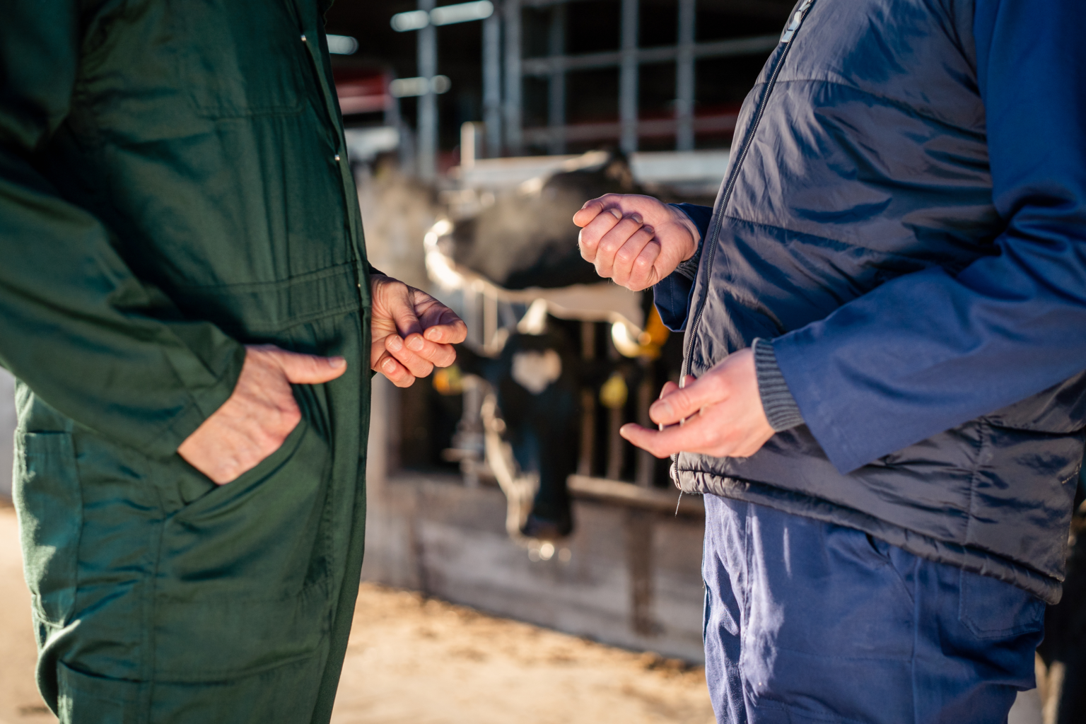 Melkvee ZDWD 6 1 - ForFarmers Nederland